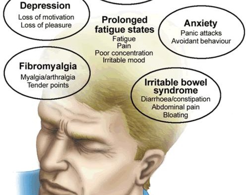 Stemmings- en angststoornissen bij chronischevermoeidheidsyndroom, fibromyalgie en prikkelbaredarmsyndroom